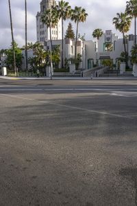 the city street is empty of cars and palm trees and buildings in background it has some traffic light