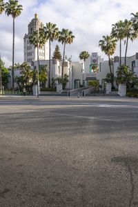 the city street is empty of cars and palm trees and buildings in background it has some traffic light