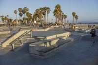 A Sunny Day in Los Angeles: Palm Trees and Coastal Beach