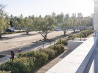 the sun shines on a parking lot and many trees and bushes near it,