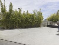 Sunny Day in Los Angeles: Exploring the Residential Area