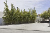 Sunny Day in Los Angeles: Exploring the Residential Area