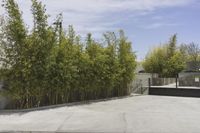 Sunny Day in Los Angeles: Exploring the Residential Area