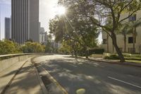 trees line the street and the road in front of buildings and trees with bright sunlight