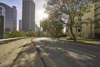 trees line the street and the road in front of buildings and trees with bright sunlight