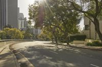 trees line the street and the road in front of buildings and trees with bright sunlight