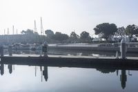 a woman is on the dock by the water while another watches her surroundings and people are walking