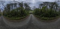 a curved view image looking across an empty road at the same time as if in a mirror