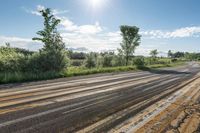 A Sunny Day in Ontario's Rural Landscape