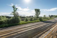 A Sunny Day in Ontario's Rural Landscape