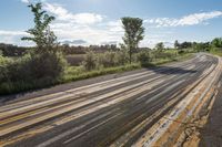 A Sunny Day in Ontario's Rural Landscape