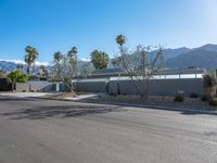 Sunny Day in Palm Springs, California