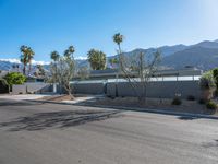 Sunny Day in Palm Springs, California