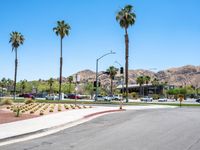 Sunny Day at Palm Springs Mid-Century Hotels 001