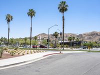 Sunny Day at Palm Springs Mid-Century Hotels