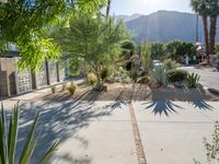 A Sunny Day in Palm Springs: Exploring Modern Architecture