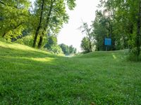 a blue street sign sitting on the side of a field next to some trees and grass