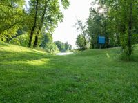 a blue street sign sitting on the side of a field next to some trees and grass