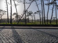 Sunny Day in Porto, Portugal: Coastal Landscape