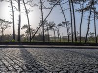 Sunny Day in Porto, Portugal: Coastal Landscape