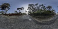 the view from a fish eye lens of a large stone road in europe with trees and bushes