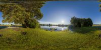 a sunny day on a river and two trees are in the foreground with the sun rising through the sky