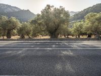 A Sunny Day on the Road: Asphalt and Mountain View