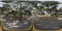 a street in the middle of trees in a 360 - shot lens setup on a sunny day