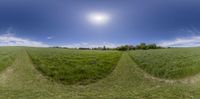 a sunny day in a field with two houses and one is out front of the camera