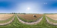 a fish - eye lens view of hay bales in a field with trees and other fields