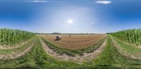 the sun is shining brightly over a field of hay and corn in the middle of a circular lens