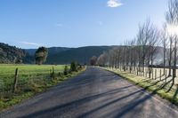 Sunny Day on Rural Road through Endless Farmland 001