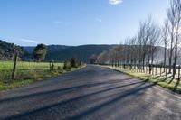 Sunny Day on Rural Road with Endless Farmland