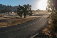 a lonely country road runs through a rural country area at sunrise or sunrise hour, and is illuminated by the rising sun