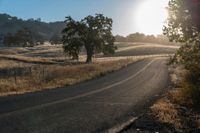 a lonely country road runs through a rural country area at sunrise or sunrise hour, and is illuminated by the rising sun