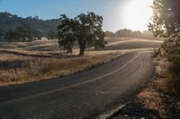 a lonely country road runs through a rural country area at sunrise or sunrise hour, and is illuminated by the rising sun