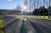 long empty paved roadway with trees and grass in sunlight flares in the background with light