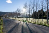 long empty paved roadway with trees and grass in sunlight flares in the background with light