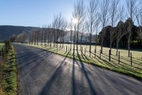 long empty paved roadway with trees and grass in sunlight flares in the background with light