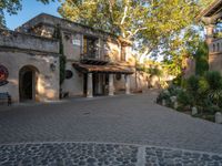 the walkway outside of the building leads to some greenery and stone walkways and a tree in front