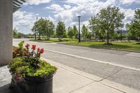 a potted planter is on a street corner with grass and flowers next to the road