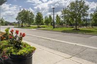 a potted planter is on a street corner with grass and flowers next to the road