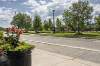 a potted planter is on a street corner with grass and flowers next to the road