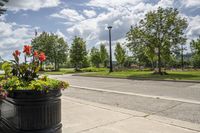 a potted planter is on a street corner with grass and flowers next to the road