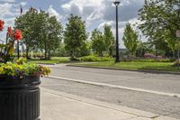 a potted planter is on a street corner with grass and flowers next to the road