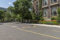 trees in front of a building are lined up along a road with parking spaces and a bench