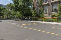 trees in front of a building are lined up along a road with parking spaces and a bench