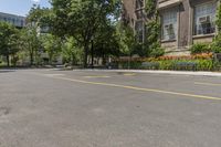 trees in front of a building are lined up along a road with parking spaces and a bench