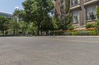 trees in front of a building are lined up along a road with parking spaces and a bench