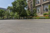 trees in front of a building are lined up along a road with parking spaces and a bench